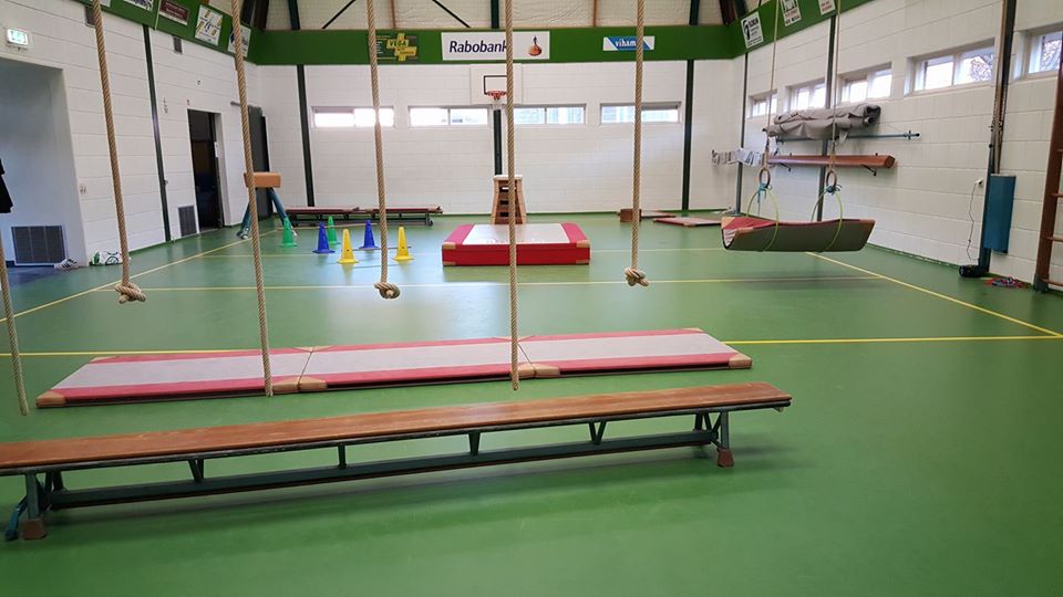 Gymnastiek Vereniging Geesteren (GVG) is sinds 1966 de gymnastiekvereniging van ons dorp